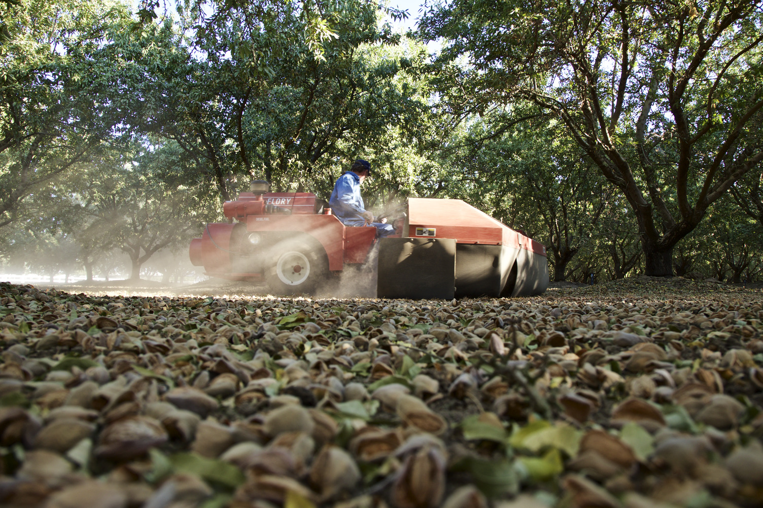 New Incentive Programs Support Harvest Dust, Coproducts Almond Orchard